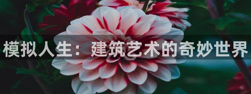 名人堂游戏软件