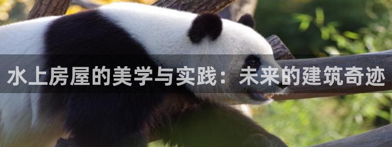 名人堂游戏大厅下载